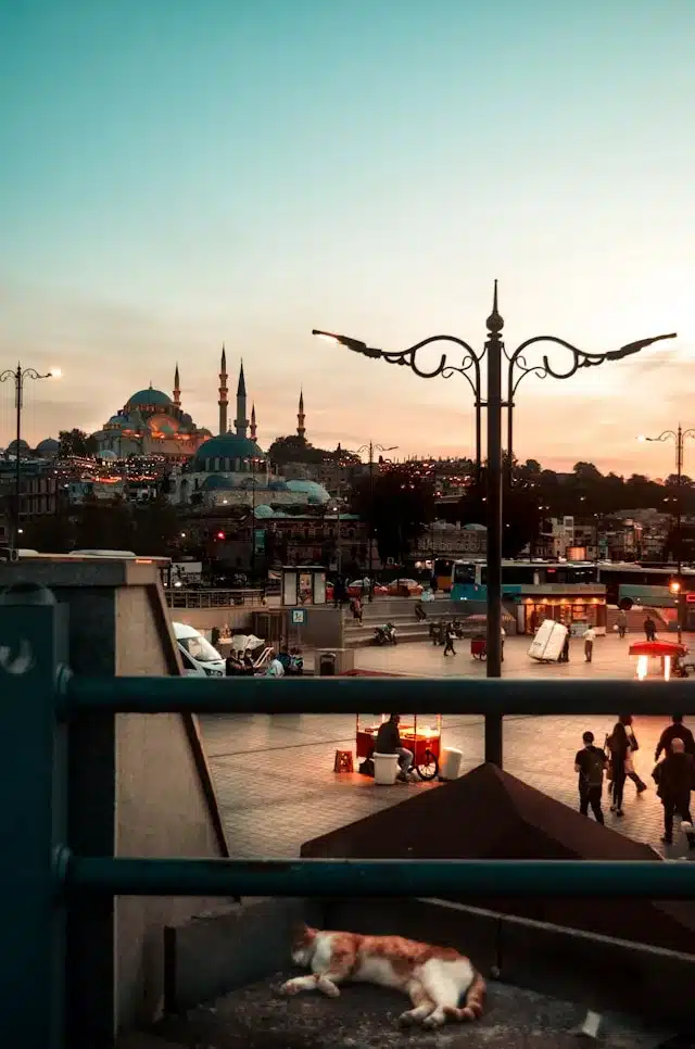 Découvrir Istanbul Découvrir Istanbul